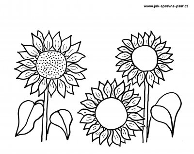 Lekcia 2 - Slnečnica